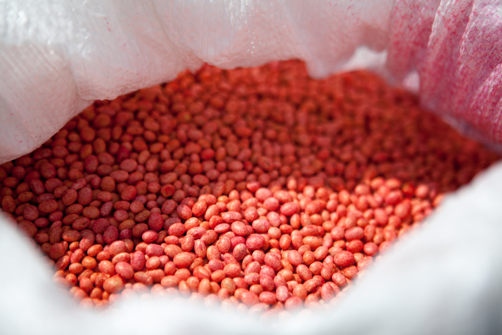 Проинокулированные семена сои