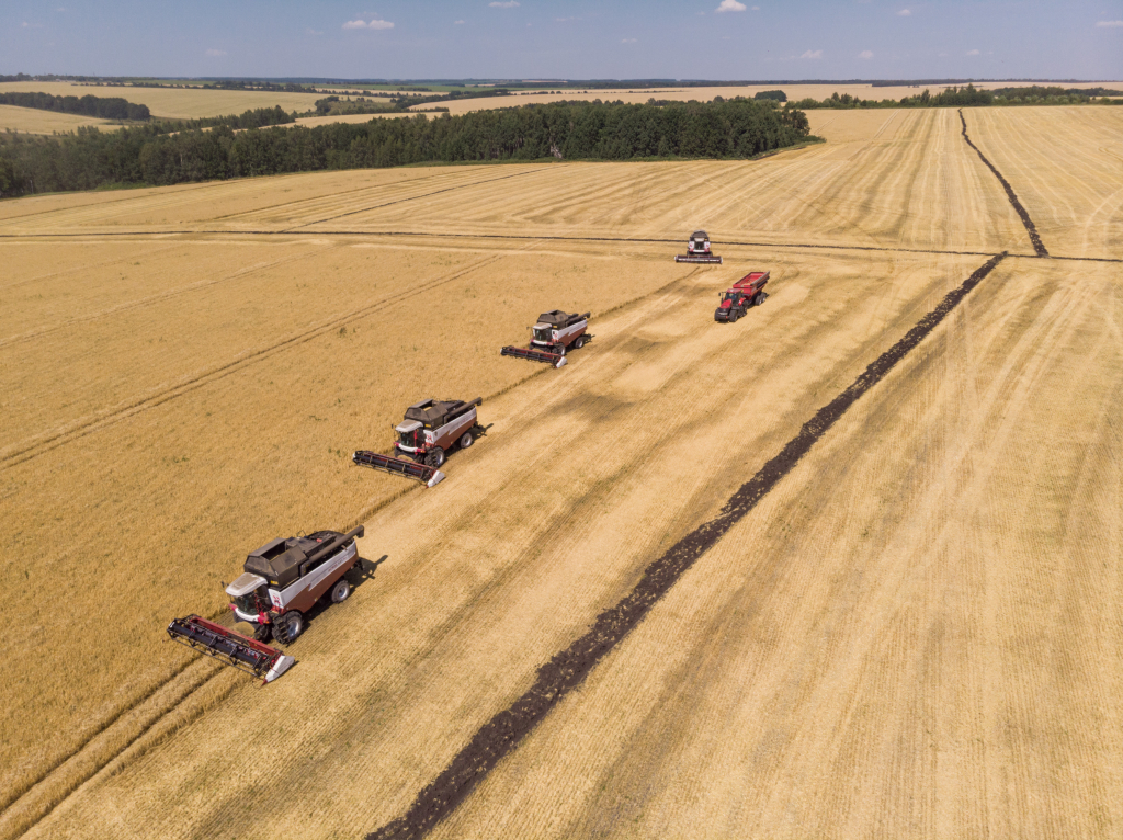 Уборочная кампания в АгроТерре.jpg