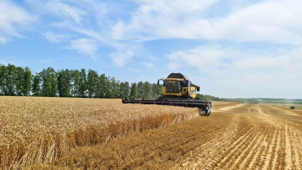 Старт уборки озимой на Юге.jpg