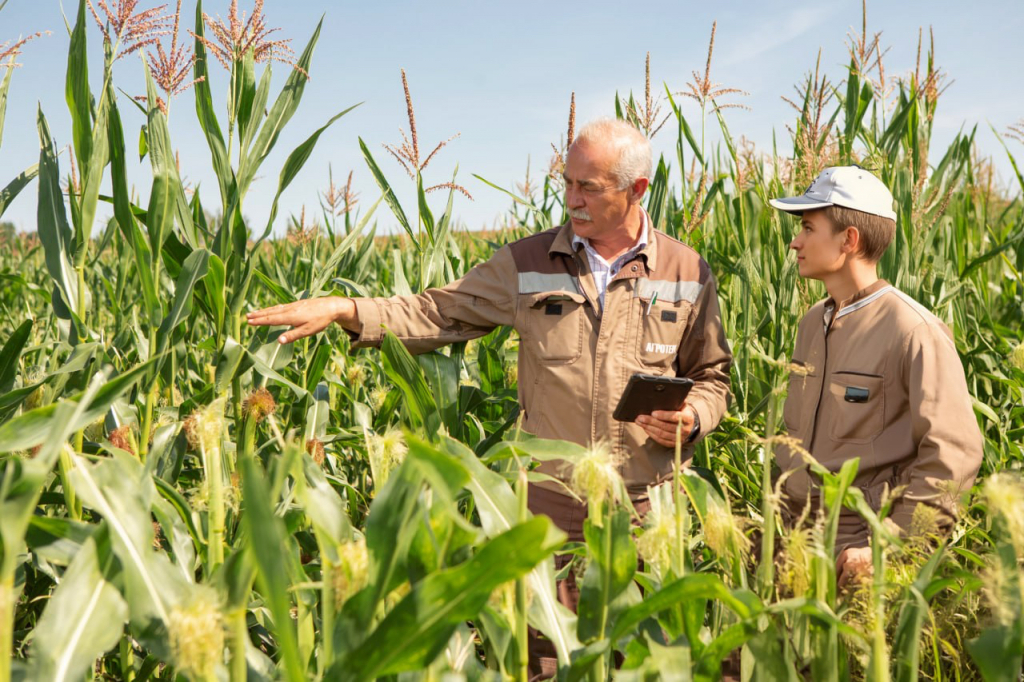 Фото - целевое обучение.jpeg